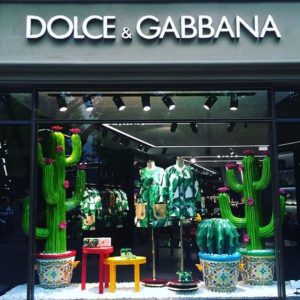 Dolce e Gabbana cactus
