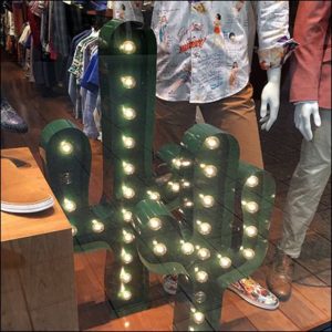 cactus luminoso